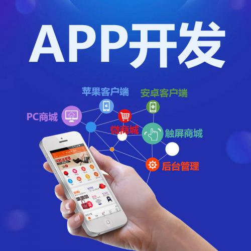 APP开发